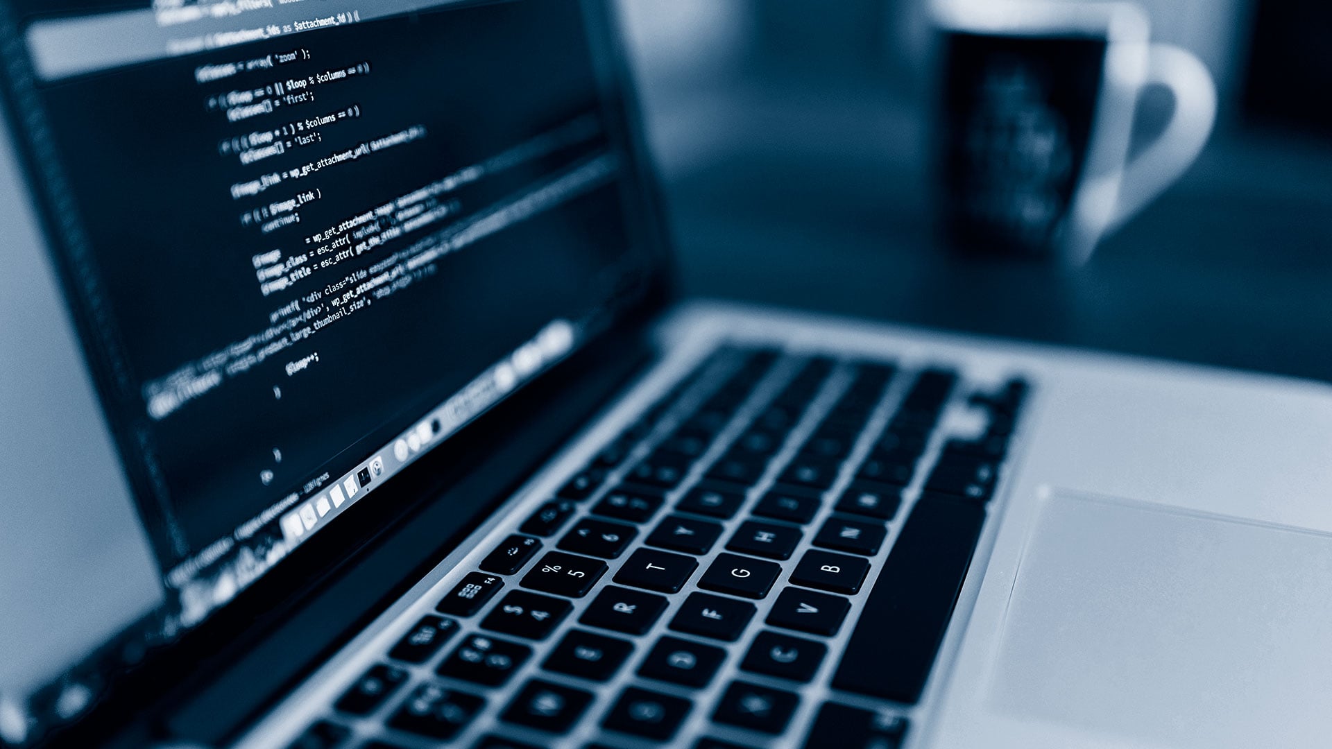 Software-Entwicklung
